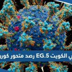 تفاصيل رصد متحور فيروس كورونا EG.5 في الكويت وعدد الحالات