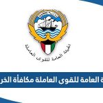 الهيئة العامة للقوى العاملة مراجعة مكافأة الخريجين