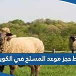 رابط حجز موعد المسلخ في الكويت meta.e.gv.kw