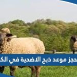 رابط حجز موعد ذبح الاضحية في الكويت meta.e.gv.kw