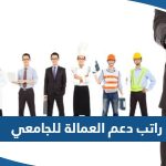 كم راتب دعم العمالة الوطنية للجامعي في الكويت